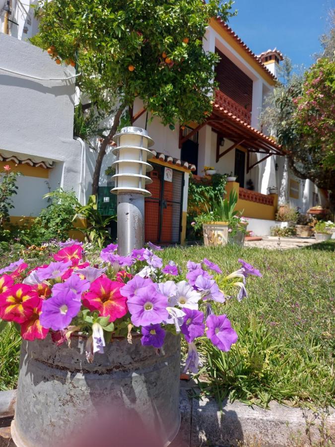 A Tejada Vila Ortiga Exterior foto